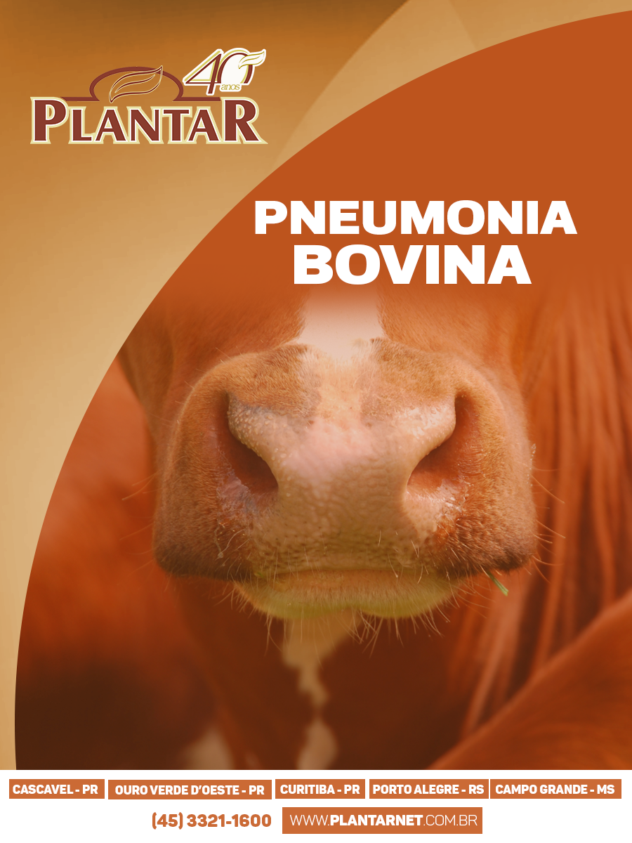 Pneumonia Bovina